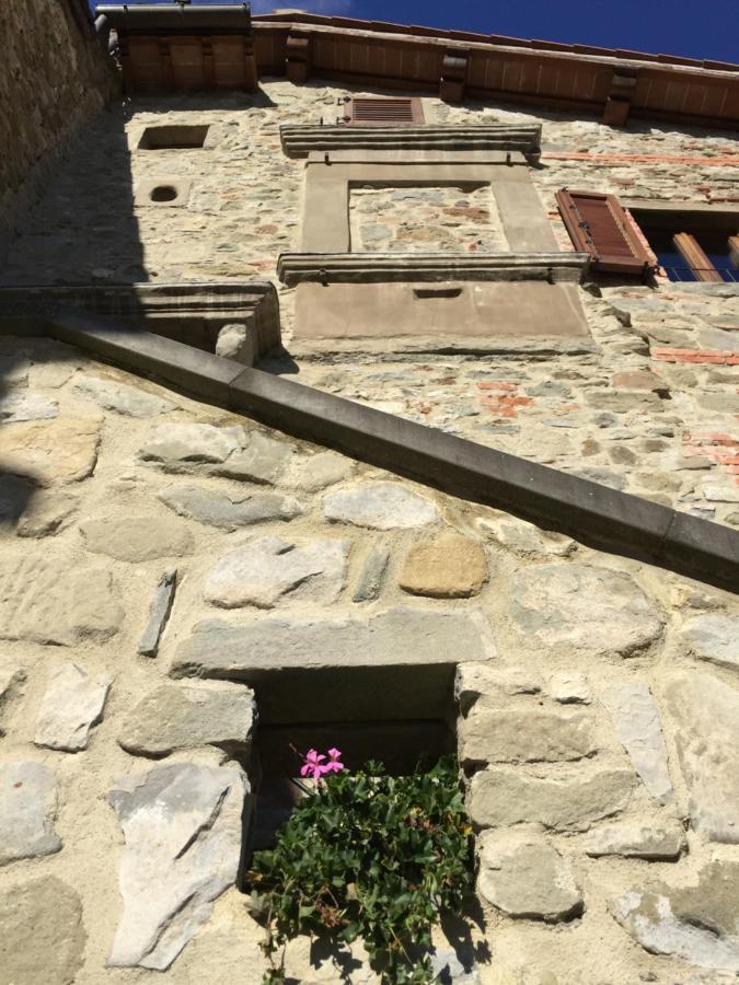 Apartament Castello Di Urbech Pratovecchio Zewnętrze zdjęcie