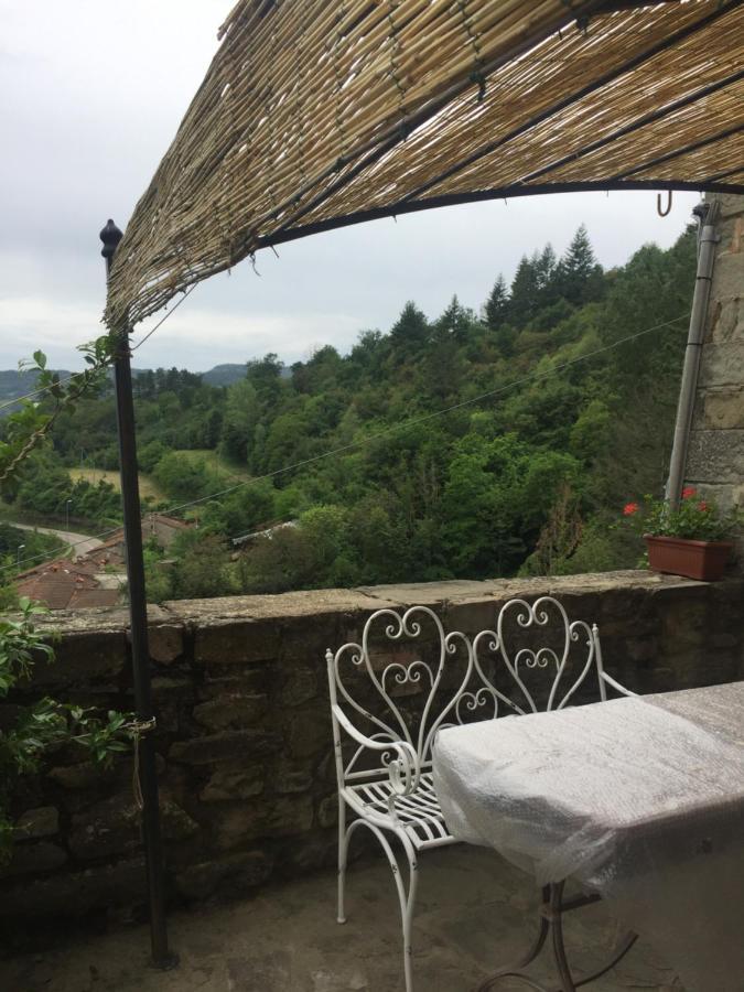 Apartament Castello Di Urbech Pratovecchio Zewnętrze zdjęcie
