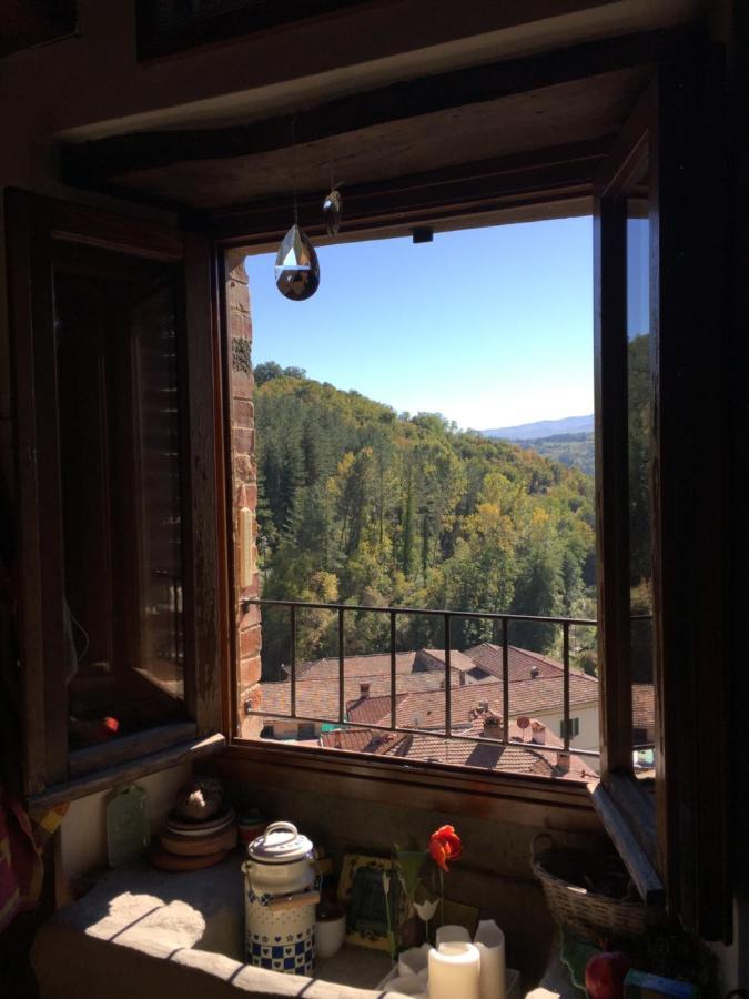 Apartament Castello Di Urbech Pratovecchio Zewnętrze zdjęcie