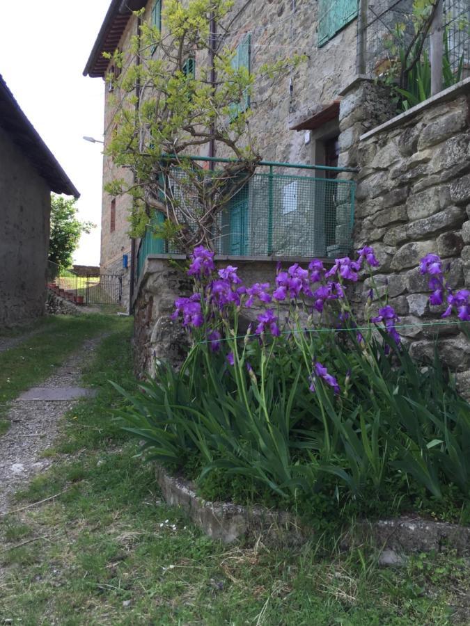 Apartament Castello Di Urbech Pratovecchio Zewnętrze zdjęcie